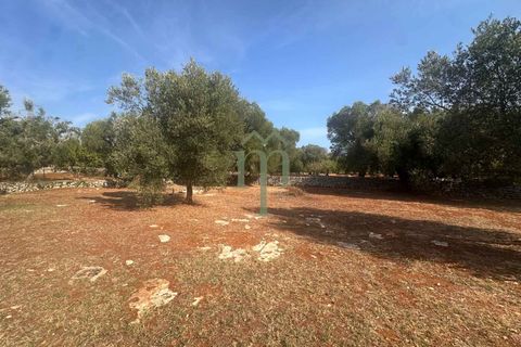 Villa i Carovigno, Brindisi, Carovigno - € 340.000 | Ref: Villa Casellini - foto 39